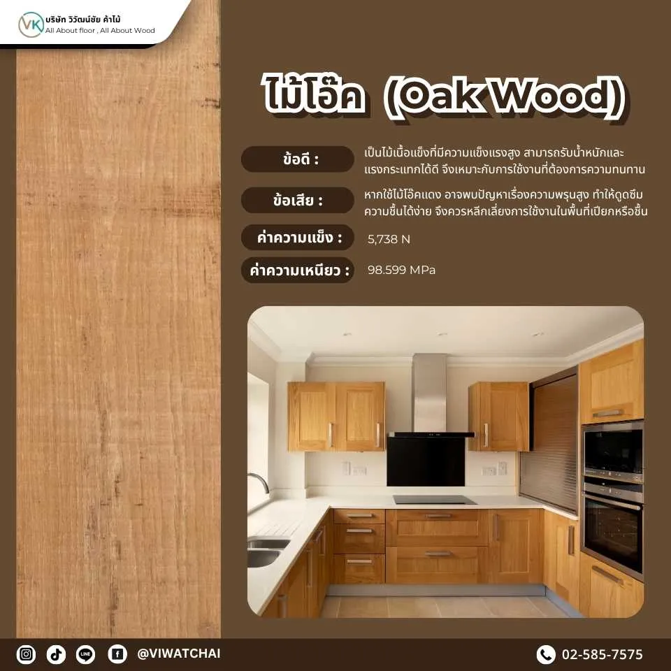 ไม้โอ๊ค (Oak Wood) - ไม้แปรรูปคุณภาพสูงที่ทนทานและมีลวดลายที่สวยงาม เหมาะสำหรับเฟอร์นิเจอร์และงานตกแต่งภายในที่ต้องการความแข็งแรงและสวยงาม