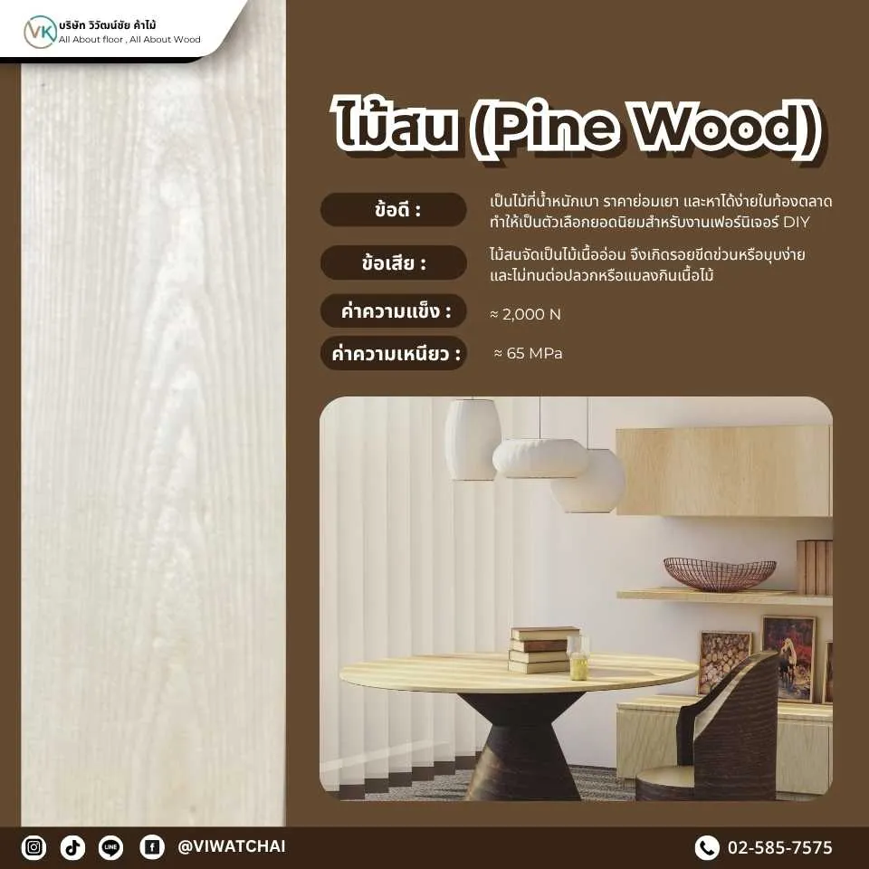 ไม้สน (Pine Wood) - ไม้แปรรูปที่มีความเบาและทนทาน เหมาะสำหรับงานเฟอร์นิเจอร์และการตกแต่งภายใน