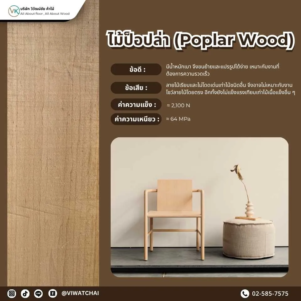 ไม้ป็อปล่า (Poplar Wood) - ไม้แปรรูปที่มีน้ำหนักเบาและความยืดหยุ่นสูง เหมาะสำหรับการทำเฟอร์นิเจอร์และการตกแต่งภายในที่ต้องการวัสดุที่ทนทานและราคาไม่สูง