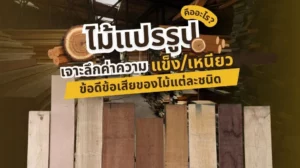 ภาพ ไม้แปรรูป ประเภทต่าง ๆ ที่ใช้ในการผลิตเฟอร์นิเจอร์และการก่อสร้าง