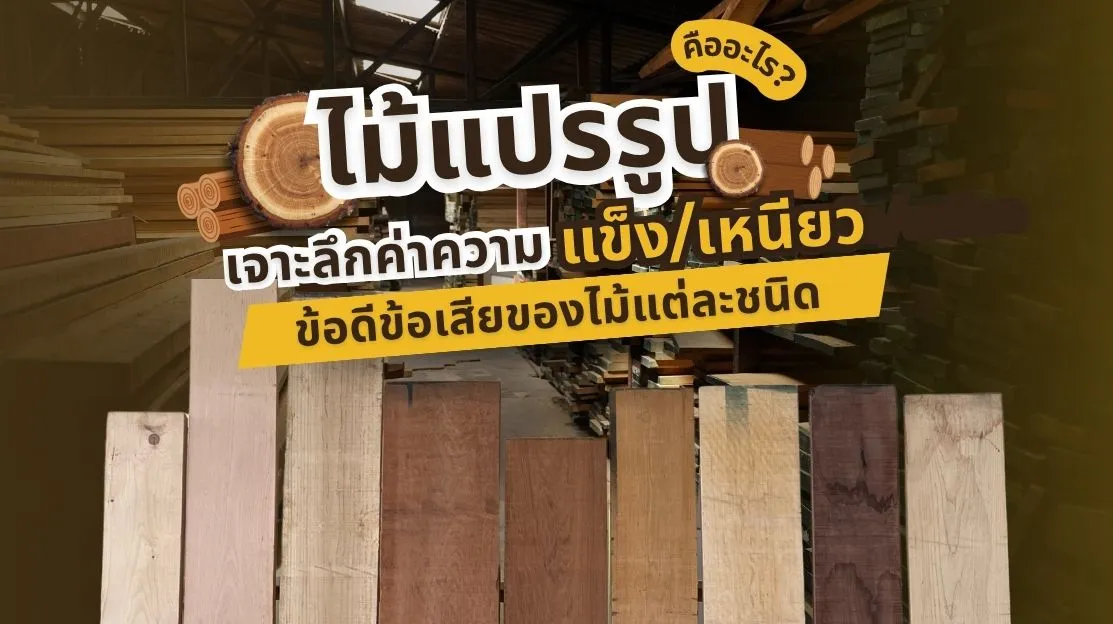 ภาพไม้แปรรูปประเภทต่าง ๆ ที่ใช้ในการผลิตเฟอร์นิเจอร์และการก่อสร้าง