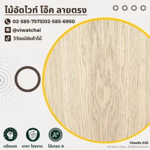 ไม้อัดไวท์โอ๊คลายตรง ลวดลายเส้นชัดเจน สีขาวอมเหลือง
