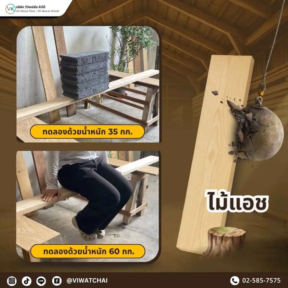 การทดสอบความแข็งแรงของไม้แอช ไม้แปรรูปคุณภาพสูง รองรับน้ำหนักได้จริง