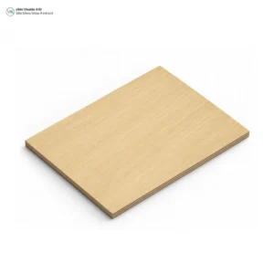 beech-straight-grain-veneer-plywood-natural-wood-cover-02 ไม้อัดบีช ลายตรง Beech Straight Grain Veneer Plywood | วิวัฒน์ชัยค้าไม้