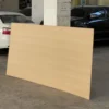 beech-straight-grain-veneer-plywood-real-product-photo-01 ภาพถ่ายสินค้าจริงไม้อัดบีช ลายตรง แสดงพื้นผิวและเสี้ยนไม้บีชที่เรียงตัวเป็นแนวยาวบนแผ่นไม้อัด