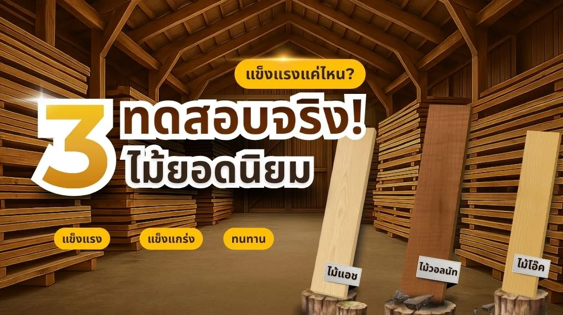 เปรียบเทียบคุณสมบัติของไม้แปรรูปต่างประเทศ แอช โอ๊ค และวอลนัท พร้อมคำแนะนำการใช้งานในงานไม้ต่างๆ