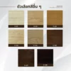 solid-wood-door-color-options ตัวเลือกสีอื่น ๆ ของประตูไม้เนื้อแข็ง รุ่นต่าง ๆ
