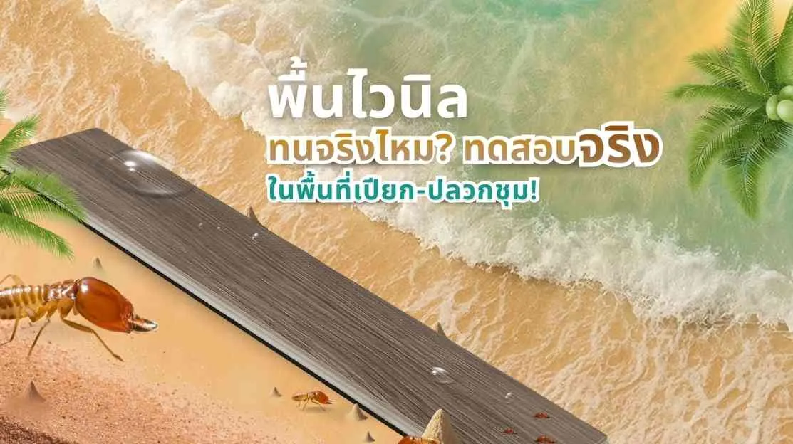 พื้นไวนิล ทดสอบการใช้งานในพื้นที่เปียกและปลวกชุม