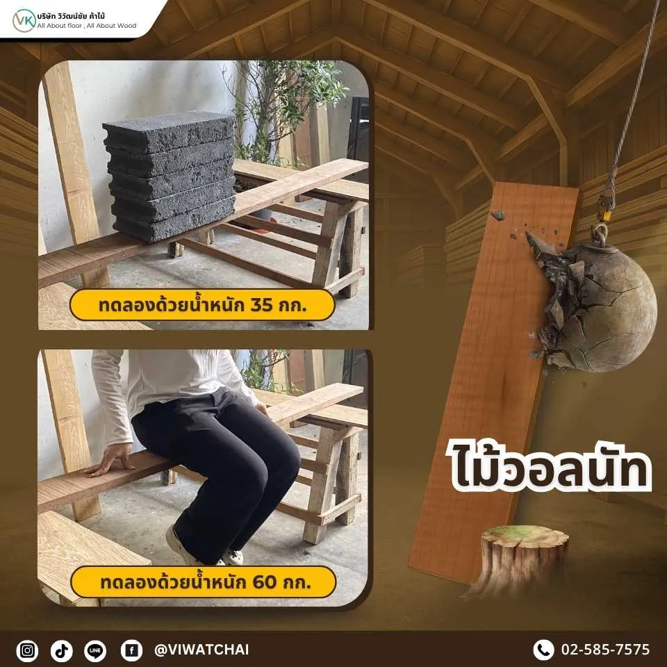 ทดสอบไม้แปรรูปไม้วอลนัท รับน้ำหนักได้จริงโดยไม่โก่งงอ
