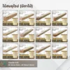 wood-battens-product-collection ไม้สนแปรรูป ขนาด 0.5x4 นิ้ว ความยาว 1.2–3 เมตร สำหรับงานเฟอร์นิเจอร์และงานตกแต่งภายใน