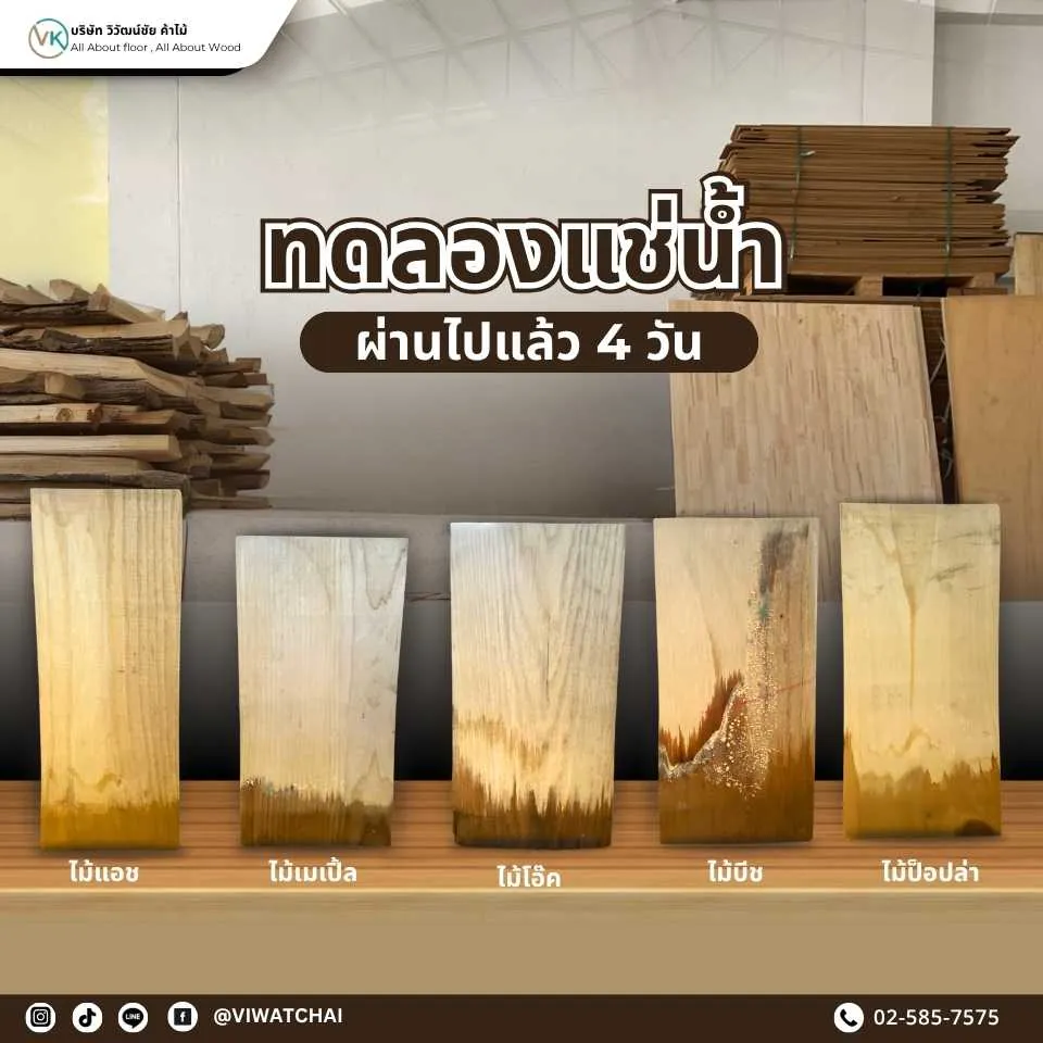 ทดลองแช่ไม้แปรรูปในน้ำ เพื่อทดสอบการดูดซึมน้ำและความทนทานของเนื้อไม้