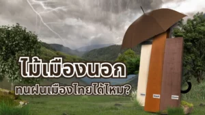 ไม้แปรรูป ไม้ท่อนต่างประเทศ ทนน้ำและฝนได้จริง? เจาะลึกคุณสมบัติไม้ 3 ชนิดยอดนิยม
