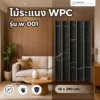 ไม้ระแนง WPC รุ่น W-001 สีไม้ธรรมชาติ ขนาด 20x290 ซม.