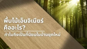 พื้นไม้เอ็นจิเนียร์ (Engineered Wood) โครงสร้างหลายชั้น แข็งแรงและเหมาะกับห้องอเนกประสงค์ยุคใหม่
