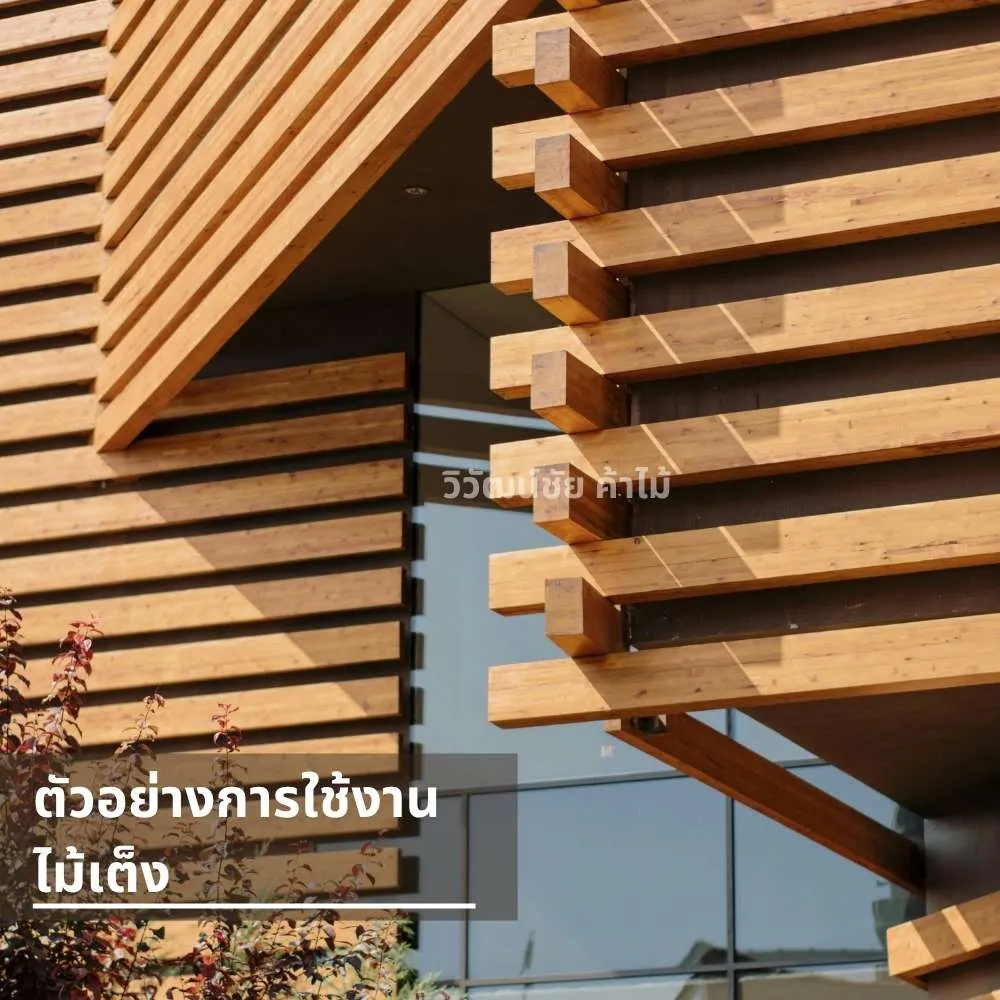 เพดานไม้เต็งตกแต่งภายใน