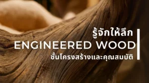 พื้นไม้เอ็นจิเนียร์ หน้าปกบทความ รู้ลึกโครงสร้างและคุณสมบัติ