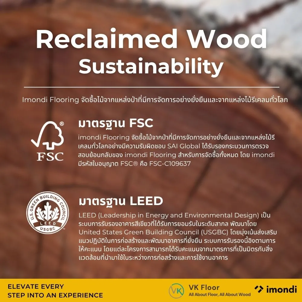imondi-sustainable-engineered-wood-flooring imondi Sustainability พื้นไม้เอ็นจิเนียร์กับแนวคิดความยั่งยืน
