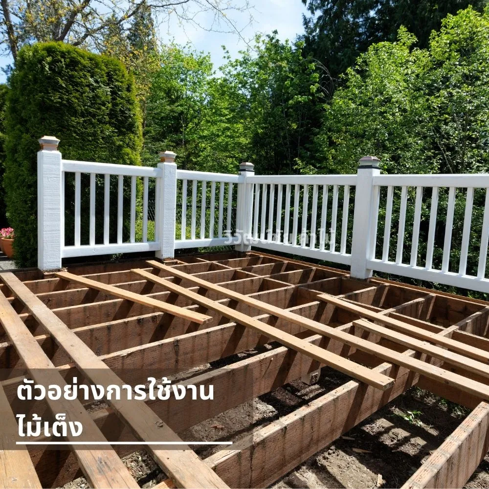 teng-Shorea-hardwood-furniture-application ตัวอย่างการใช้งานไม้เต็งในงานก่อสร้างและโครงสร้างไม้