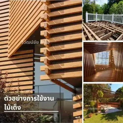 ตัวอย่างการใช้งานไม้เต็งในงานโครงสร้างและงานก่อสร้างที่ต้องการความแข็งแรง