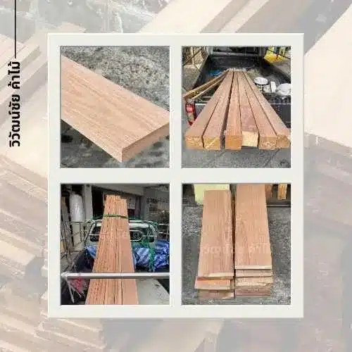 ตัวอย่างไม้เต็ง ไม้เนื้อแข็งที่มีความแข็งแรงและทนทานสำหรับงานก่อสร้าง