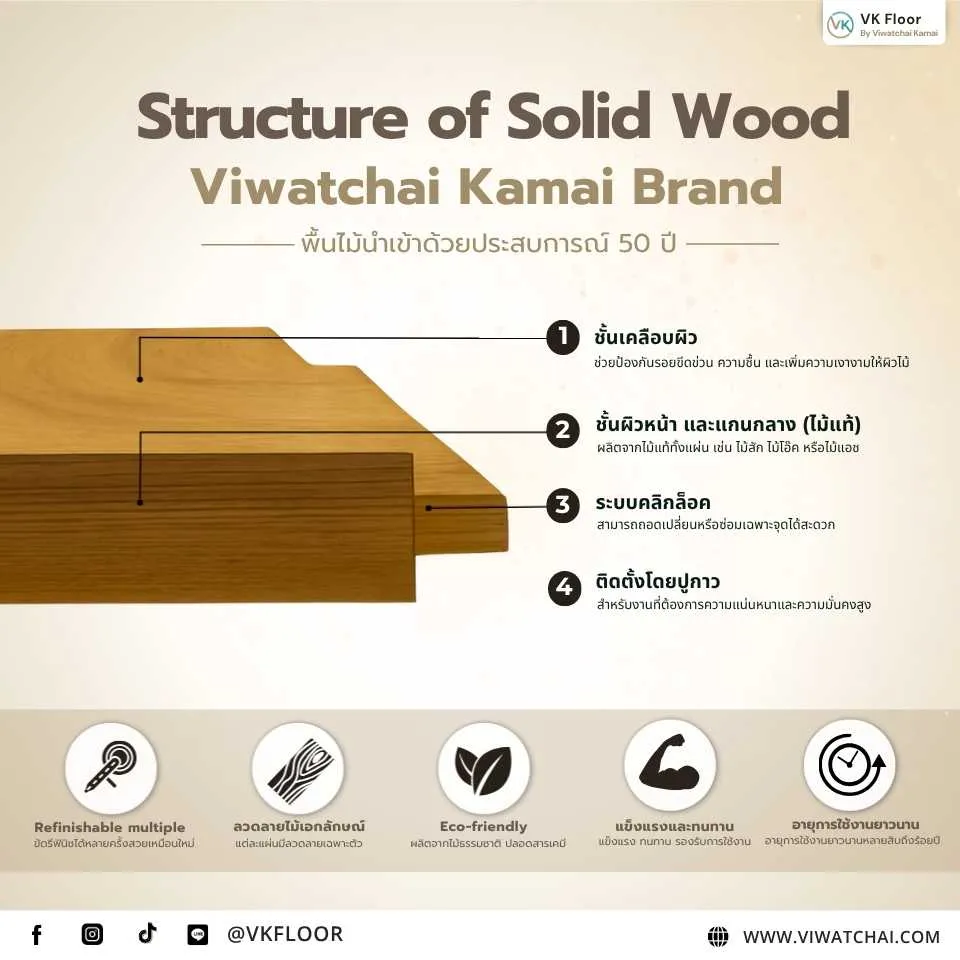 อินโฟกราฟิกโครงสร้างไม้จริง (Structure of Solid Wood) แสดงชั้นส่วนประกอบและคุณสมบัติ | วิวัฒน์ชัยค้าไม้