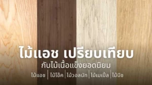 ไม้แอช คืออะไร และเหตุผลที่ถูกนำมาเปรียบเทียบกับไม้เนื้อแข็งยอดนิยม