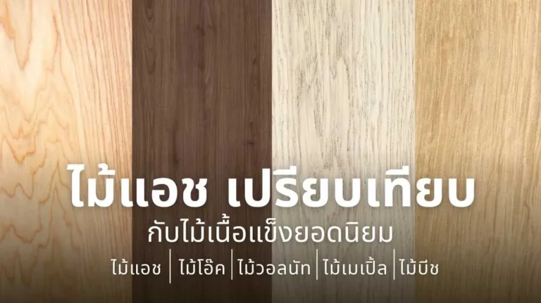 ไม้แอช คืออะไร และเหตุผลที่ถูกนำมาเปรียบเทียบกับไม้เนื้อแข็งยอดนิยม