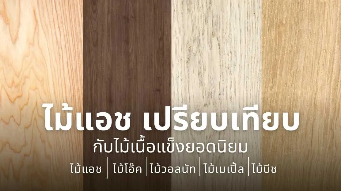 ไม้แอช คืออะไร และเหตุผลที่ถูกนำมาเปรียบเทียบกับไม้เนื้อแข็งยอดนิยม