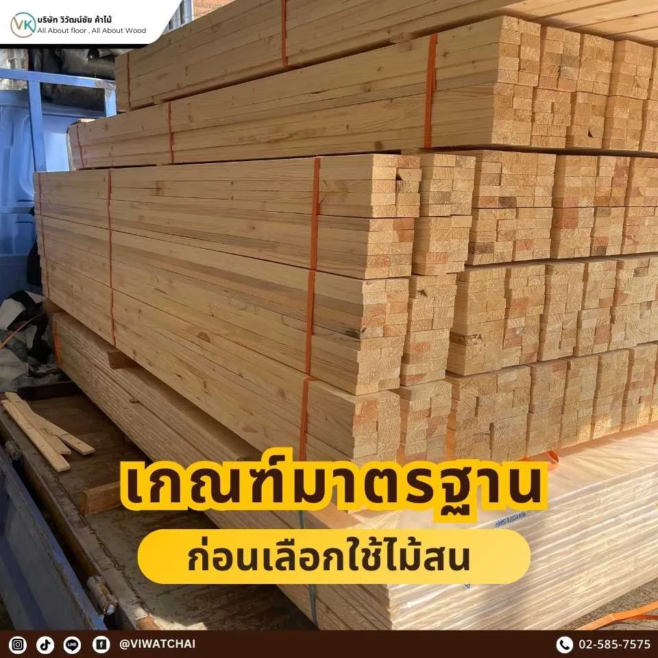 เกณฑ์มาตรฐานก่อนเลือกใช้ไม้สน เพื่อเลือกใช้ไม้สนให้เหมาะกับงานเฟอร์นิเจอร์และงานตกแต่ง