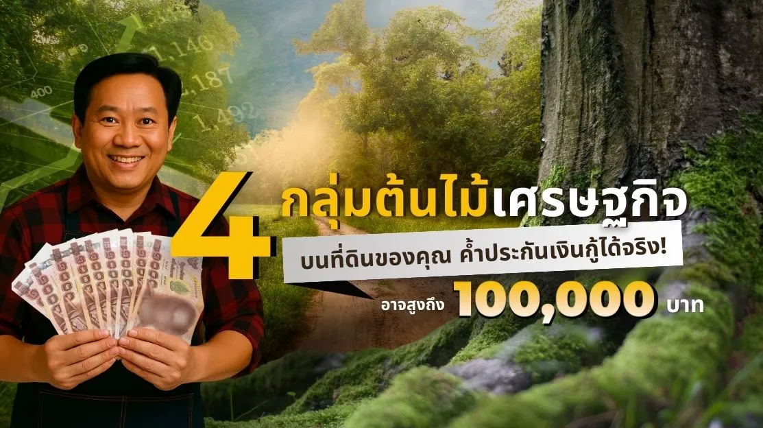 เกษตรกรเฮ! รัฐเปิดทางให้ต้นไม้เศรษฐกิจบนที่ดินมีมูลค่าสูงถึง 100,000 ใช้ค้ำประกันเงินกู้ได้จริง