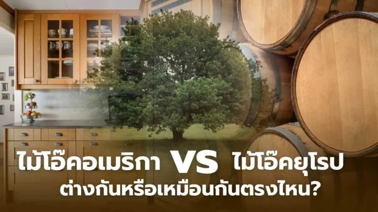 เปรียบเทียบไม้โอ๊คยุโรปและอเมริกา ความแตกต่างด้านลวดลาย สี และคุณสมบัติ