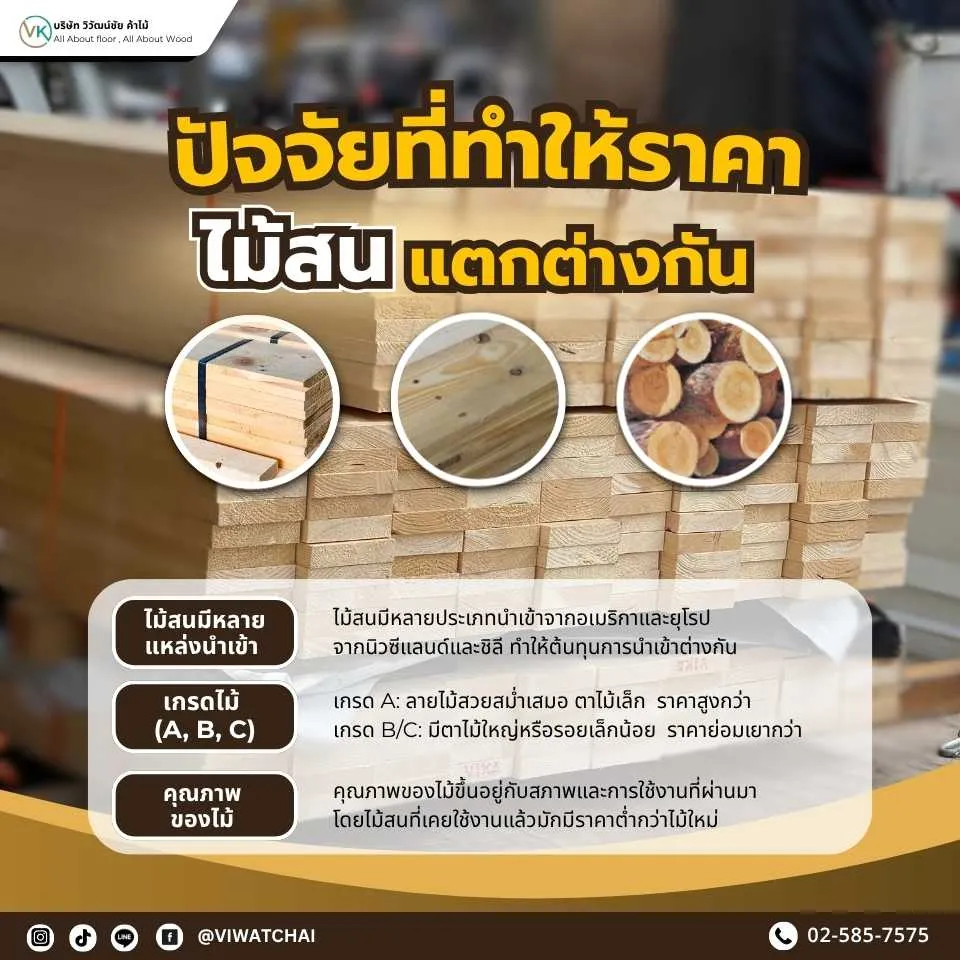 ภาพอธิบายเหตุผลที่ทำให้ไม้สนเป็นที่นิยม และปัจจัยที่ส่งผลต่อราคา เช่น ชนิดสายพันธุ์ คุณภาพเกรด ความชื้น ขนาดไม้ และต้นทุนการนำเข้า