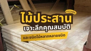 ไม้ประสาน คืออะไร แผ่นไม้ประสานคุณภาพสูง เจาะลึกคุณสมบัติ ข้อดี และการใช้งานครบถ้วน