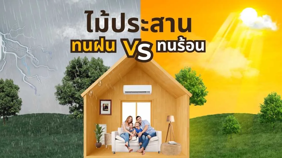ไม้ประสานทนฝนทนร้อนได้ไหม เจาะลึกการใช้งานภายนอกและวิธีดูแล