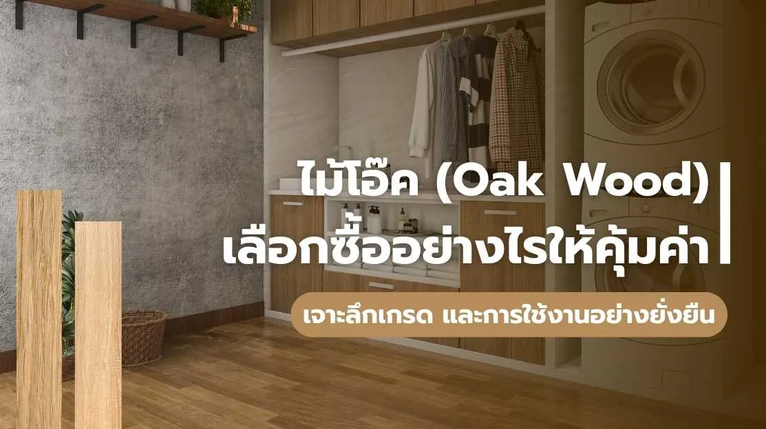 ไม้โอ๊ค Oak Wood วิธีเลือกซื้ออย่างคุ้มค่า พร้อมเจาะลึกเกรดและการใช้งานอย่างยั่งยืน