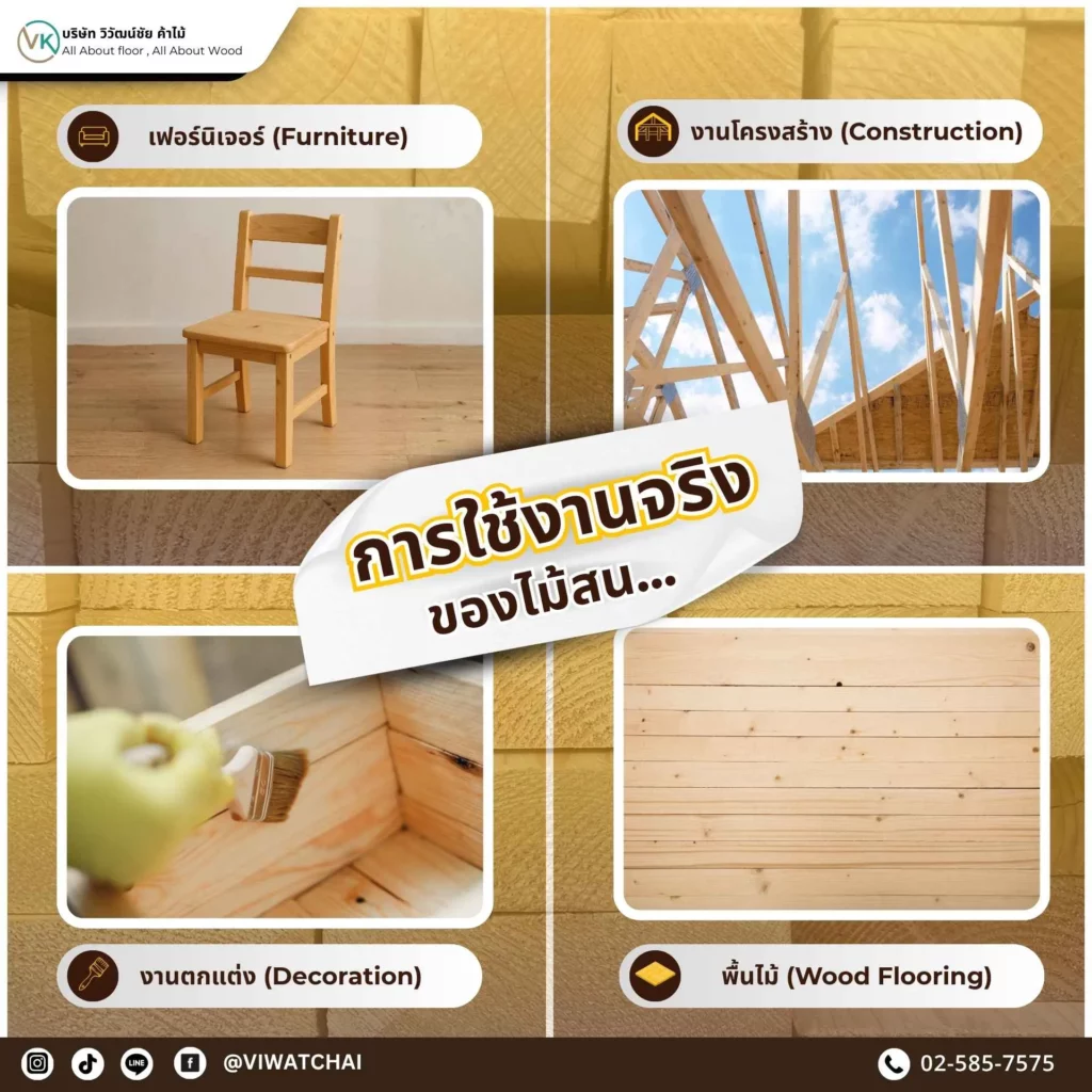 การใช้งานจริงไม้สน ในงานเฟอร์นิเจอร์และตกแต่งบ้าน