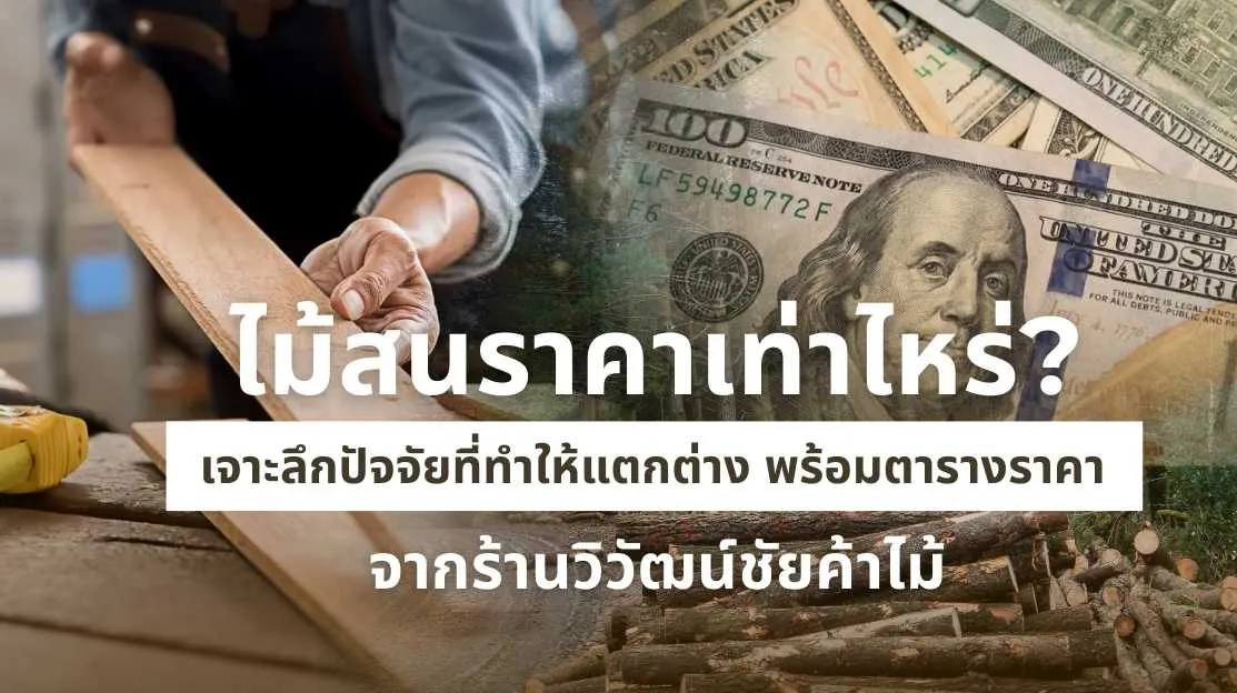 ไม้สน ราคาเท่าไหร่? ปัจจัยที่ทำให้ราคาแตกต่าง พร้อมตารางราคาอัปเดต 2025