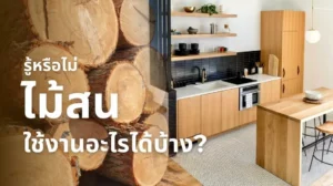 ไม้สน ใช้งานอะไรได้บ้าง ทั้งงานโครงสร้าง เฟอร์นิเจอร์ และงาน DIY
