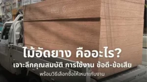 ไม้ประสาน และไม้อัดยางคืออะไร เจาะลึกคุณสมบัติ ข้อดี-ข้อเสีย และวิธีเลือกซื้อให้เหมาะกับงาน