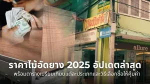 ไม้ประสาน และราคาไม้อัดยาง 2025 อัปเดตล่าสุด พร้อมตารางเปรียบเทียบแต่ละประเภท