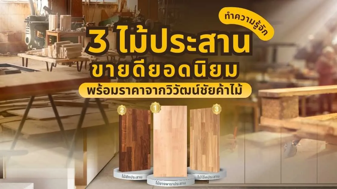 3 ไม้ประสานยอดนิยม พร้อมราคาและคำแนะนำจาก วิวัฒน์ชัยค้าไม้ เลือกไม้สัก ไม้โอ๊ค หรือไม้ยางพาราให้เหมาะกับงานตกแต่งบ้านเสริมโชคลาภดั่งต้นไม้มงคล