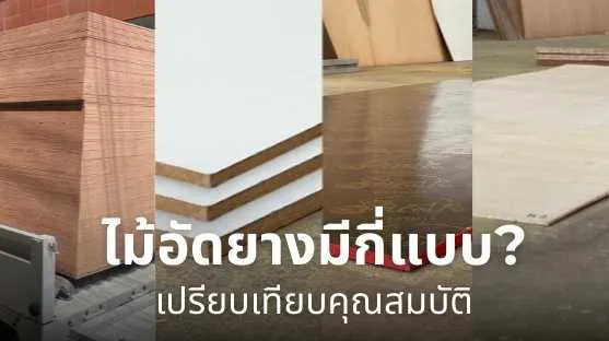 ไม้ประสาน และไม้อัดยางมีกี่แบบ พร้อมคุณสมบัติของไม้อัดยางดำ ไม้อัดยางเคลือบขาว และไม้อัดยางดัดโค้ง