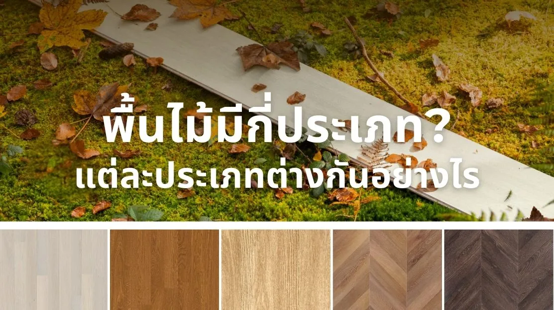 พื้นไม้มีกี่ประเภท และแต่ละประเภทแตกต่างกันอย่างไร เลือกให้เหมาะกับบ้านของคุณ