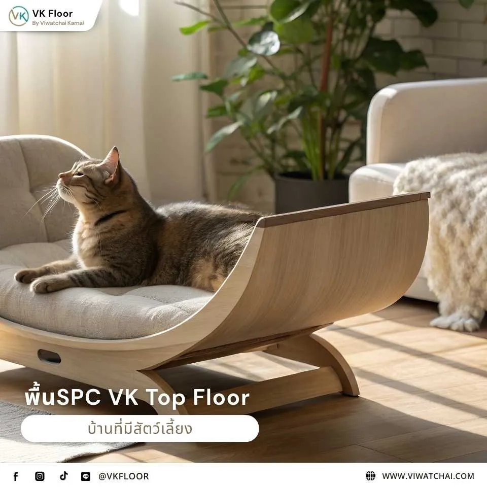 กระเบื้องยาง SPC VK Top Floor กับบ้านที่มีสัตว์เลี้ยง ทนรอยขีดข่วนและทำความสะอาดง่าย
