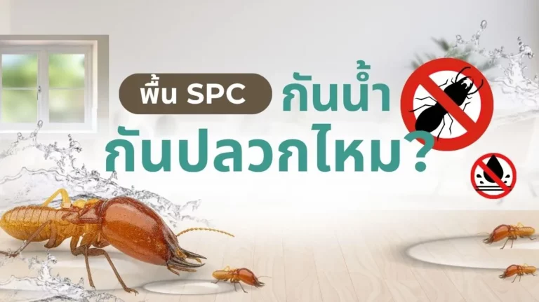 กระเบื้องยาง SPC จาก VK Top Floor กันน้ำ กันปลวก วัสดุทำจากอะไร