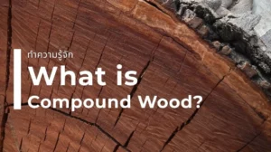 พื้นไม้คอมพาวด์ Compound Wood คืออะไร โครงสร้างและคุณสมบัติเด่น