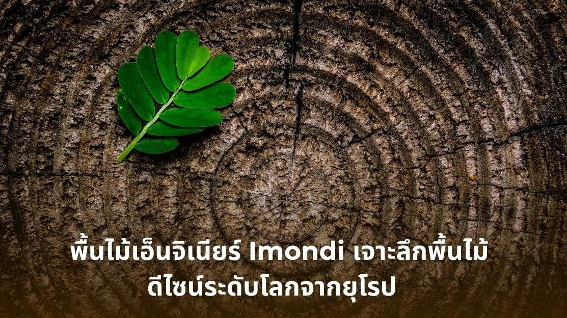 พื้นไม้เอ็นจิเนียร์ Imondi พื้นไม้ดีไซน์ยุโรป พร้อมใบรับรองมาตรฐานสากลและโทนสีที่สะท้อนเอกลักษณ์ของแต่ละสไตล์