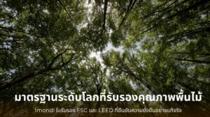 Imondi ใบรับรอง FSC และ LEED ยืนยันความยั่งยืนของพื้นไม้เอ็นจิเนียร์จากแหล่งไม้ถูกต้องตามหลักสิ่งแวดล้อม