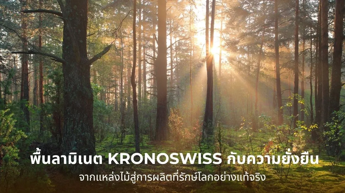 พื้นลามิเนต KRONOSWISS กับกระบวนการผลิตที่ยั่งยืน ใช้ไม้จากป่าปลูกและพลังงานหมุนเวียน