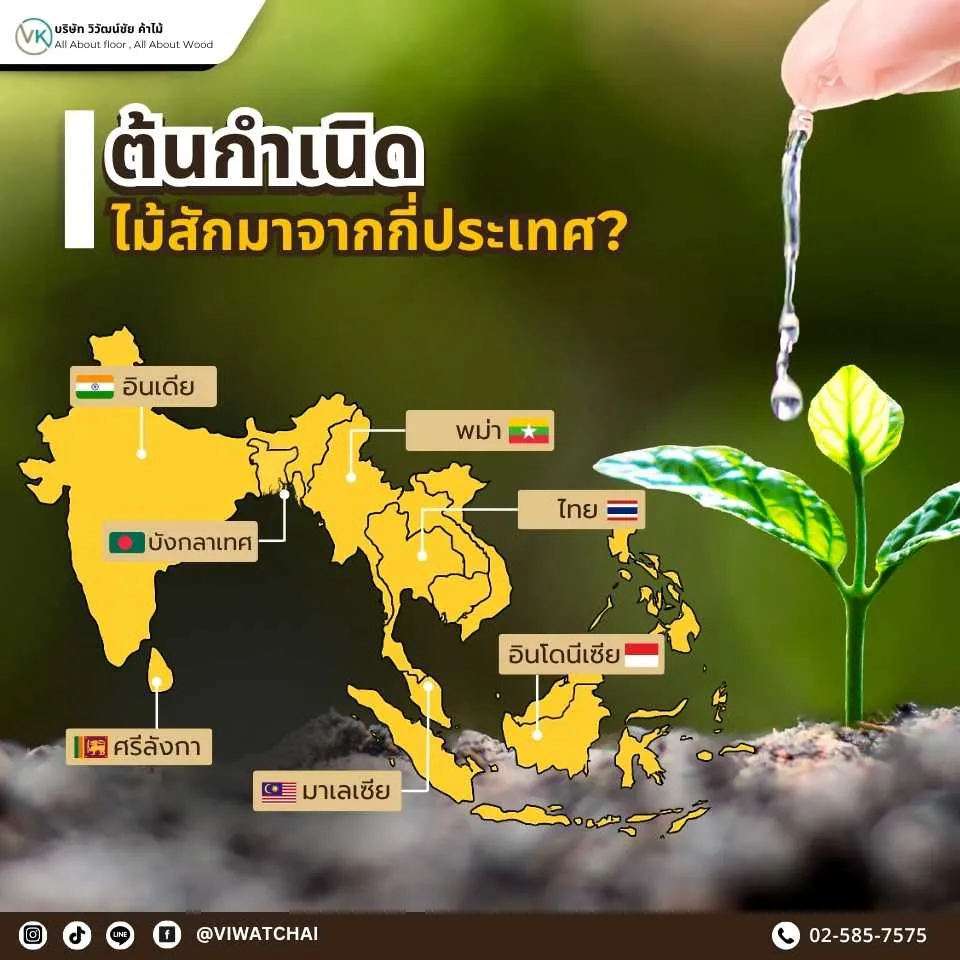 ต้นกำเนิดและการกระจายของไม้สัก แหล่งปลูกไม้สักในเอเชียและทั่วโลก